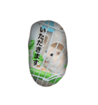 犬猫ハムスター（個別スタンプ：7）