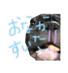 我が家のlocoちゃんver.2（個別スタンプ：9）