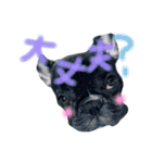我が家のlocoちゃんver.2（個別スタンプ：18）