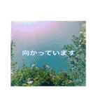 花と緑の日常写真 大人のあいさつ（個別スタンプ：1）