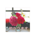 花と緑の日常写真 大人のあいさつ（個別スタンプ：5）
