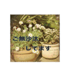 花と緑の日常写真 大人のあいさつ（個別スタンプ：12）