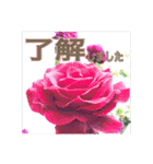 花と緑の日常写真 大人のあいさつ（個別スタンプ：13）