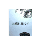 花と緑の日常写真 大人のあいさつ（個別スタンプ：20）