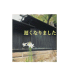 花と緑の日常写真 大人のあいさつ（個別スタンプ：21）