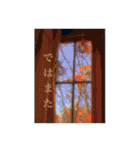 花と緑の日常写真 大人のあいさつ（個別スタンプ：26）