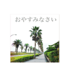 花と緑の日常写真 大人のあいさつ（個別スタンプ：31）