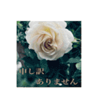 花と緑の日常写真 大人のあいさつ（個別スタンプ：32）