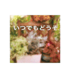 花と緑の日常写真 大人のあいさつ（個別スタンプ：34）