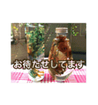 花と緑の日常写真 大人のあいさつ（個別スタンプ：38）