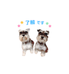 栢木Family stamp◎（個別スタンプ：5）