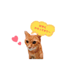 栢木Family stamp◎（個別スタンプ：16）
