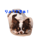ササキ ふぁみりー 2（個別スタンプ：8）