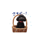 ちゅっぱさんの日常（個別スタンプ：13）