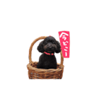 ちゅっぱさんの日常（個別スタンプ：15）