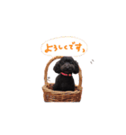 ちゅっぱさんの日常（個別スタンプ：16）