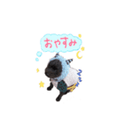 ちゅっぱさんの日常（個別スタンプ：17）