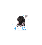 ちゅっぱさんの日常（個別スタンプ：24）