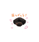 ちゅっぱさんの日常（個別スタンプ：28）
