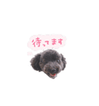 ちゅっぱさんの日常（個別スタンプ：34）