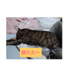 凛ファミリーのスタンプ（個別スタンプ：4）