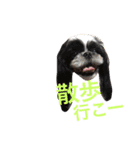 Aoto214（個別スタンプ：13）