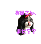 Aoto214（個別スタンプ：14）