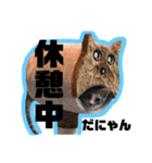 マルゴと仲間たち 第2弾（個別スタンプ：4）