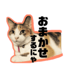 マルゴと仲間たち 第2弾（個別スタンプ：19）