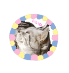 猫日常スタンプ2（個別スタンプ：14）