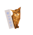 猫日常スタンプ2（個別スタンプ：18）
