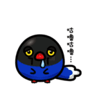 エリート家族（個別スタンプ：31）