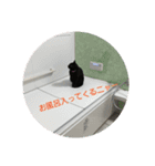 田中黒男スタンプ（個別スタンプ：2）