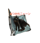 田中黒男スタンプ（個別スタンプ：6）
