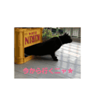 田中黒男スタンプ（個別スタンプ：7）