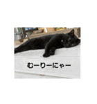 田中黒男スタンプ（個別スタンプ：9）