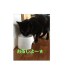 田中黒男スタンプ（個別スタンプ：13）