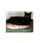 田中黒男スタンプ（個別スタンプ：14）