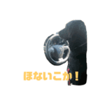 kazuneeeの作るhanaスタンプ（個別スタンプ：7）