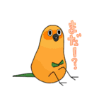 まんまるぷいぷい（個別スタンプ：16）