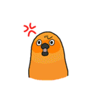 まんまるぷいぷい（個別スタンプ：31）