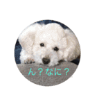 王様ふく様参上（個別スタンプ：1）