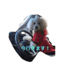 王様ふく様参上（個別スタンプ：6）