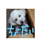 王様ふく様参上（個別スタンプ：9）