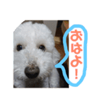 王様ふく様参上（個別スタンプ：11）