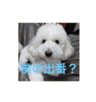 王様ふく様参上（個別スタンプ：15）