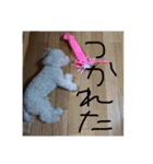 王様ふく様参上（個別スタンプ：16）