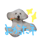 王様ふく様参上（個別スタンプ：18）