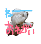 王様ふく様参上（個別スタンプ：24）