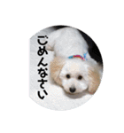 王様ふく様参上（個別スタンプ：31）